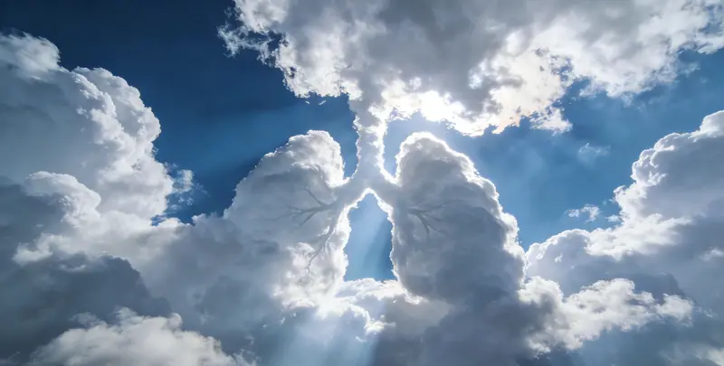 清远肺癌8基因突变检测（组织）图片1