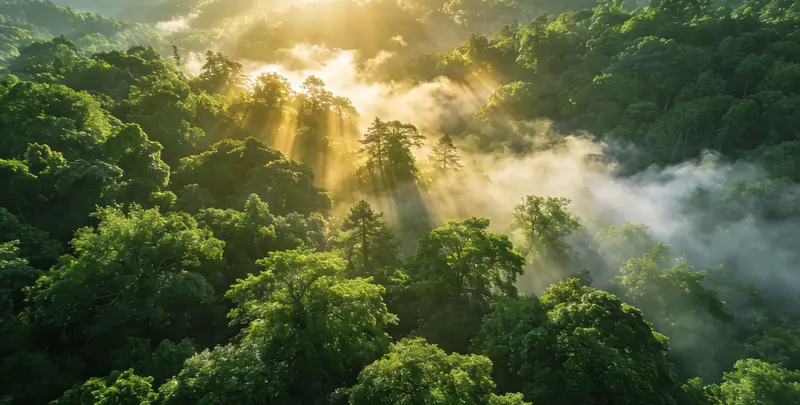 清远肺癌靶向39基因检测及PDL122C3表达检测套餐（组织）图片1